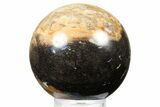 Petrified Wood (Tropical Hardwood) Sphere - Indonesia #266116-1